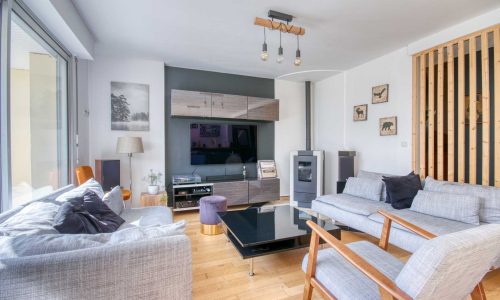 salon-cheminee-televiseur